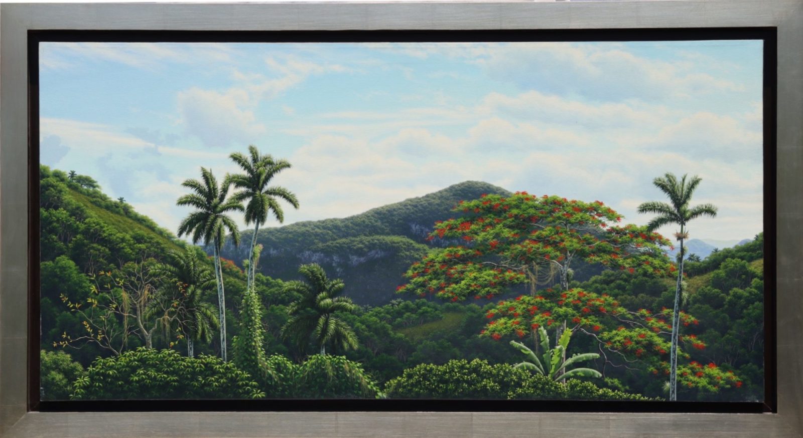Palmeras - Imagen 2