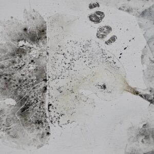 Weightless Flora No. 2